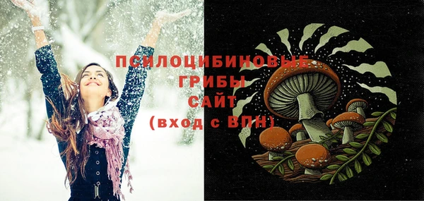 ПСИЛОЦИБИНОВЫЕ ГРИБЫ Верхнеуральск