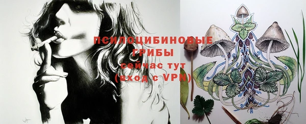 mix Верея
