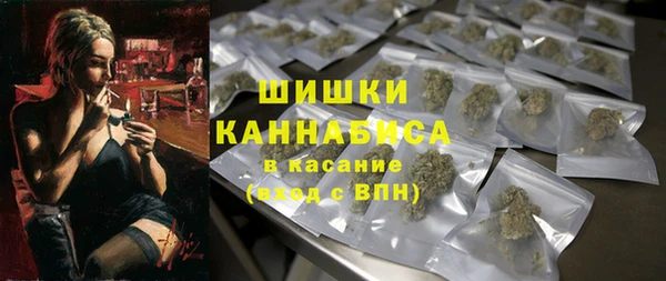 дурь Бронницы