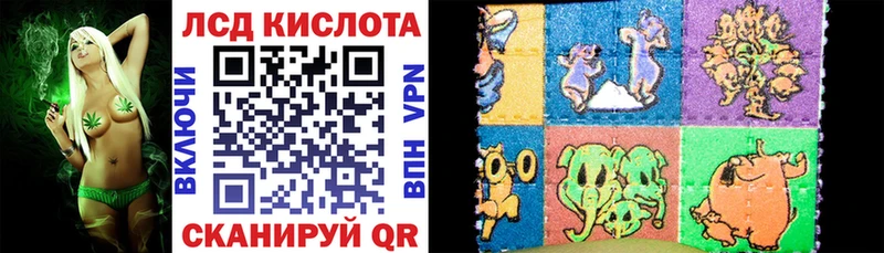 OMG tor Гвардейск Марки N-bome 1500мкг