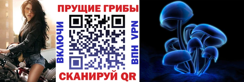 Галлюциногенные грибы Cubensis  Гвардейск 